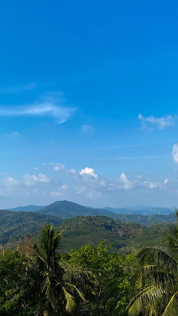 Natureza, Tropical, Turismo, Viajar Por