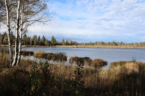 Hav, Natur, Tyskland, Efterår, Landskab