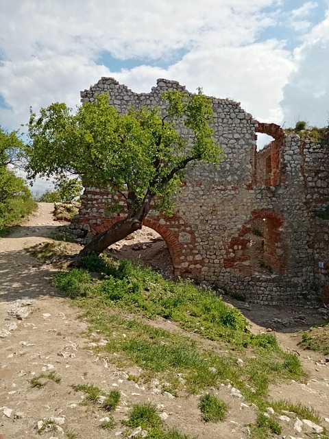 Free Castle Ruins Ruins photo and picture