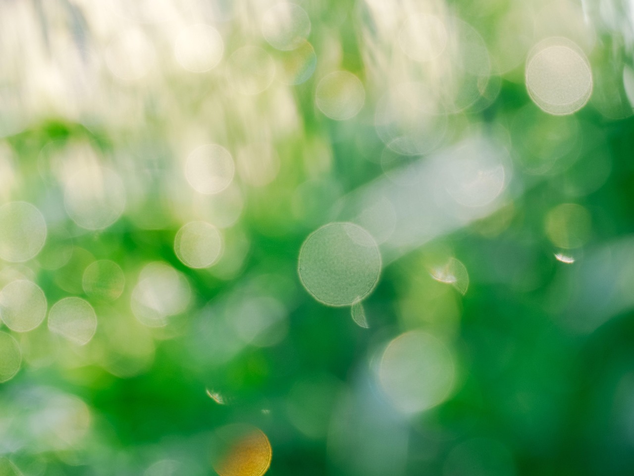 Green Background Light Free photo on Pixabay Pixabay