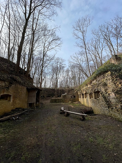 Free Fortress Courtyard Fortress photo and picture