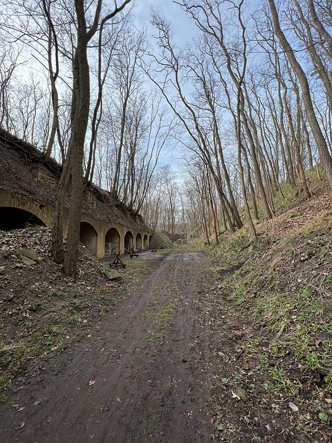 Free Nature Fortress photo and picture