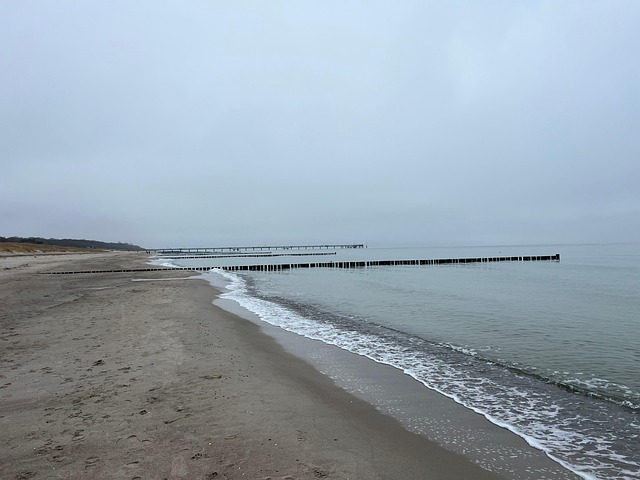 Free Sandy Beach Beach photo and picture