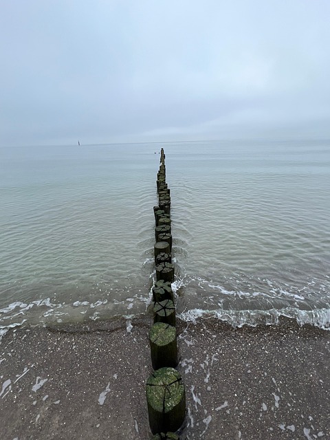 Free Sea Beach photo and picture