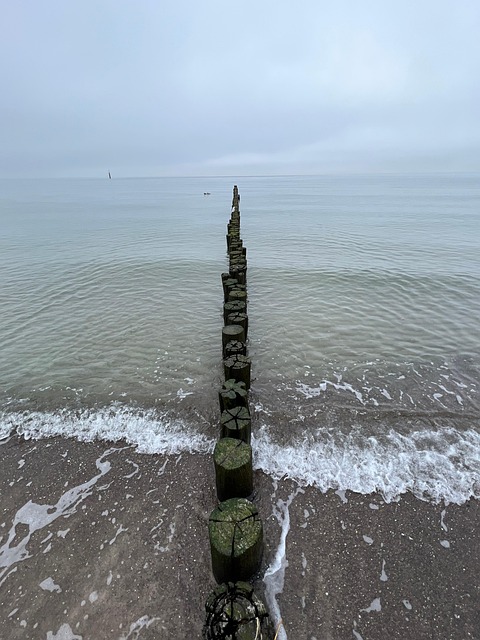 Free Sea Beach photo and picture