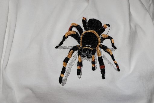 Free T-Shirt Spider photo and picture