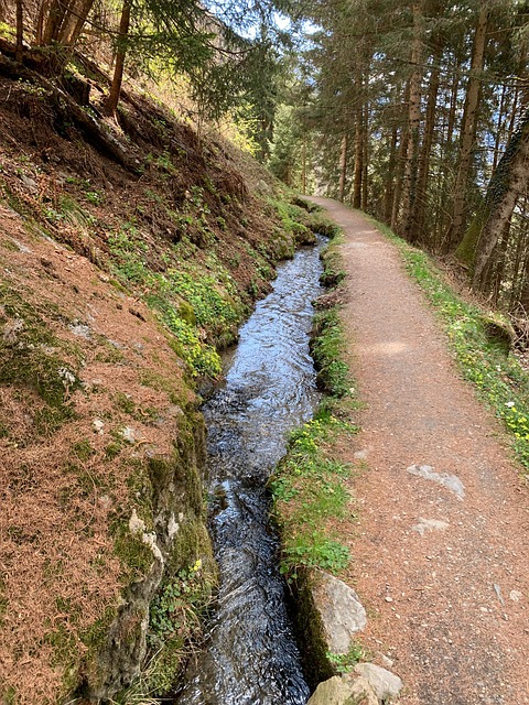Waalweg, Zuid-Tirol, Meran, Natuur