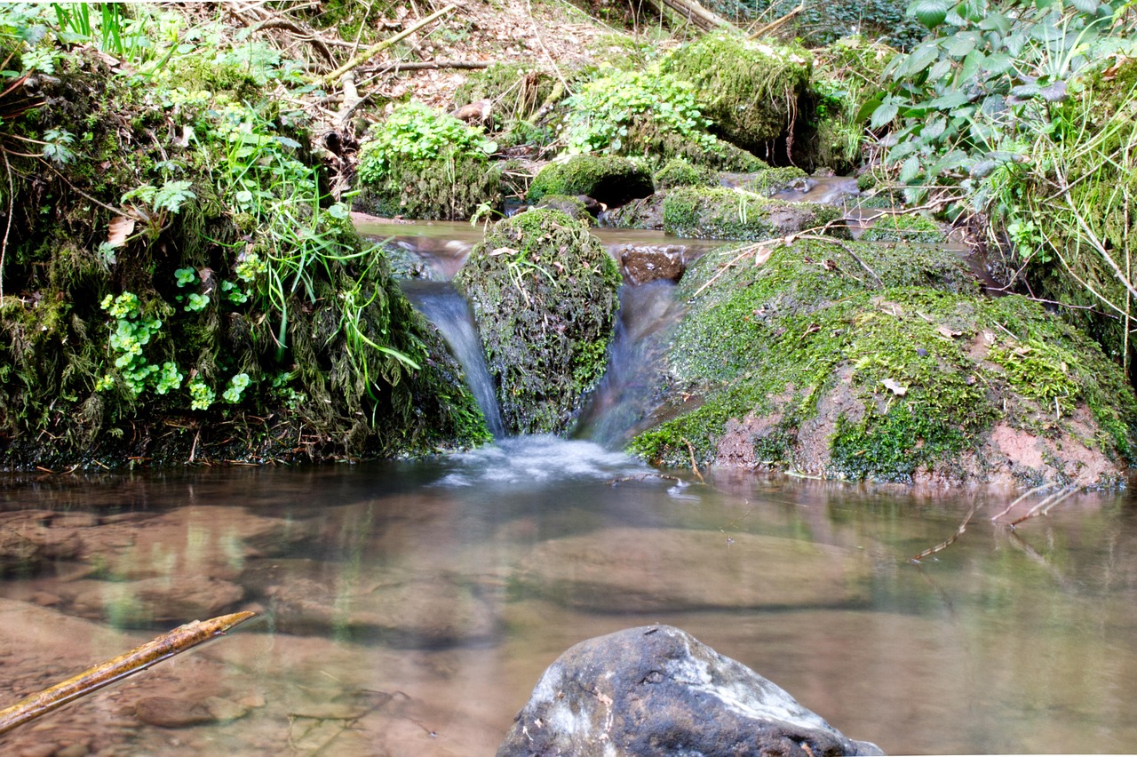 Arroyo Agua Cascada Foto Gratis En Pixabay Pixabay arroyo-agua-cascada-foto-gratis-en-pixabay-pixabay