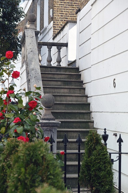 Free Stairs Architecture photo and picture