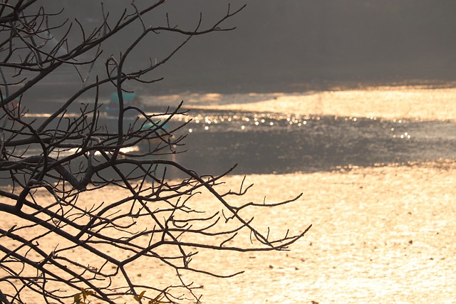 Free River Nature photo and picture
