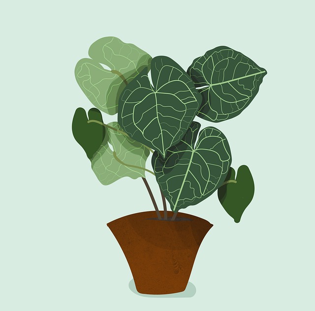 Free plants leaves green illustration