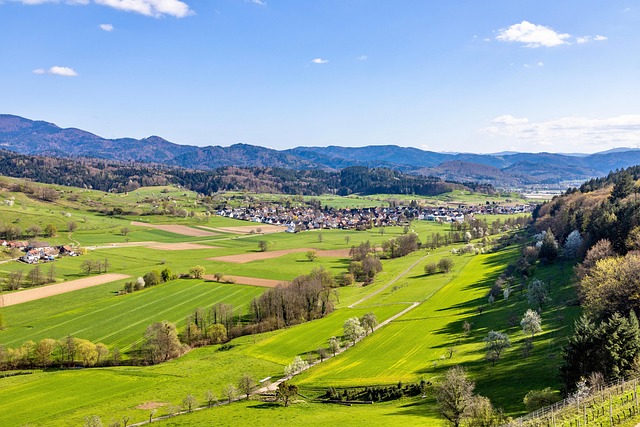 Landsby, Feltet, Schwarzwald, Outlook