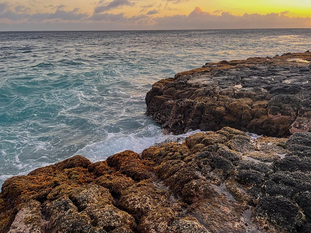 Free Ocean Sea photo and picture