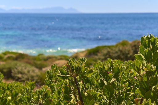 Free Ocean Sea photo and picture