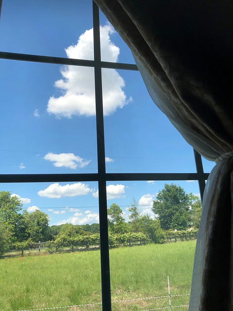 Free Window Sky photo and picture