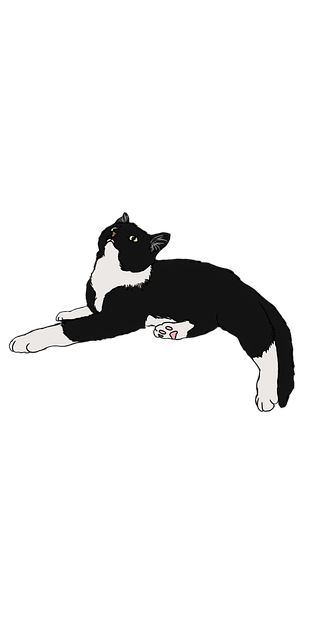 Free beauty nature cat illustration