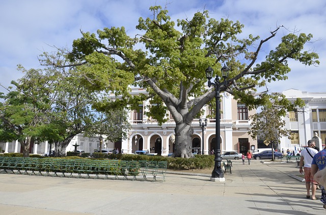 Free Cuba City photo and picture