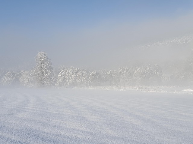冬 雪 霧 - Pixabayの無料写真 - Pixabay