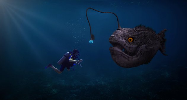 Potápať Sa, Nesmierne, Anglerfisch, More