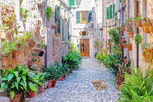 Free Background Scene Old Village Scene photo and picture