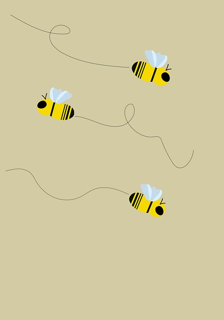 Free bees insects bugs illustration