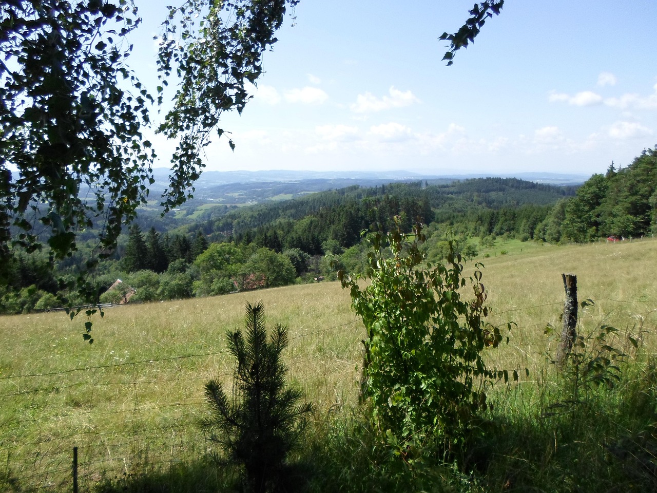L'Été La Nature De Campagne Des - Photo gratuite sur Pixabay - Pixabay