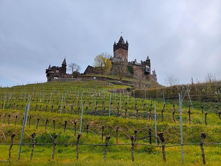 Free Cochem Wine illustration and picture