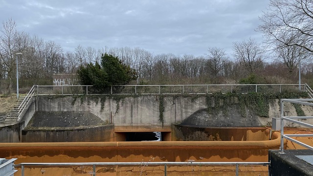 Concreet, Cement, Vies, Roestig