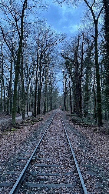 Rails, Spoorweg, Woud, Val