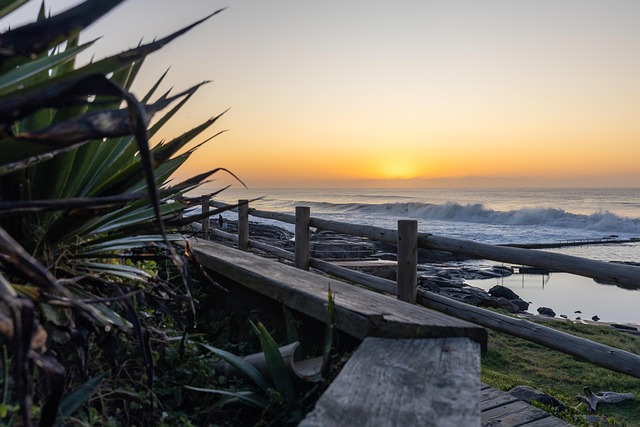 Free Sunrise Beach photo and picture