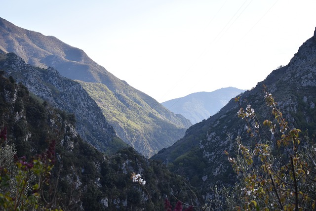 Free Alps France photo and picture