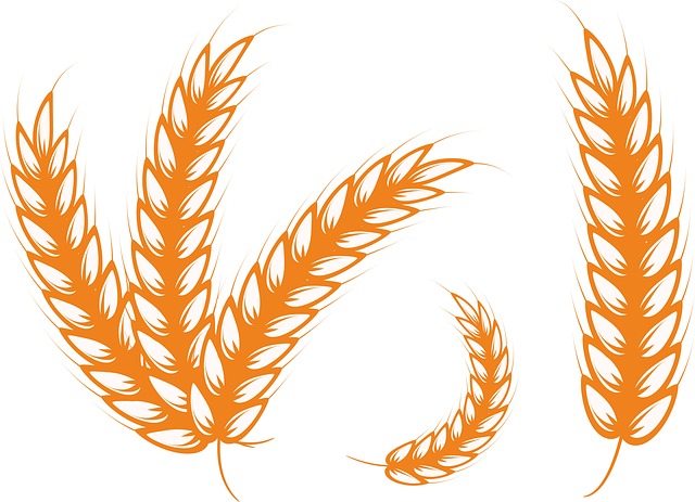 Free virgo grain wheat illustration