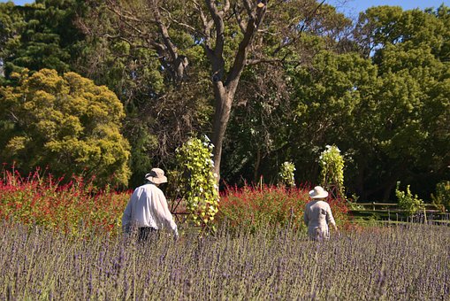 Free Walking Outdoors photo and picture