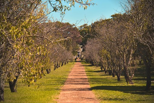 Free Path Trail photo and picture