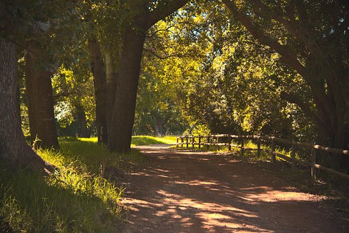 Free Path Trail photo and picture