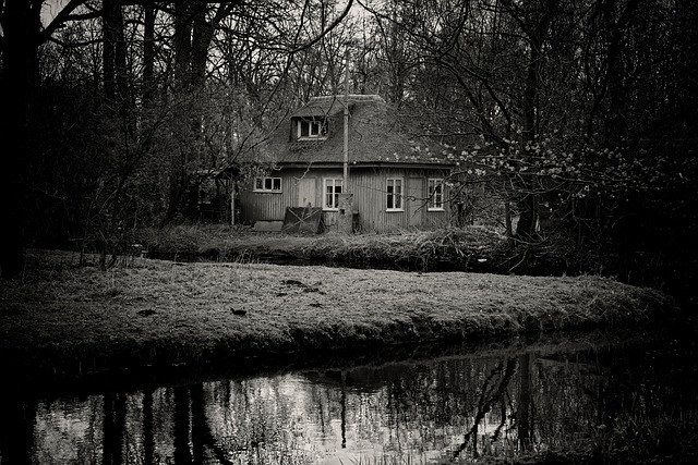 House Forest Dark Free Photo On Pixabay