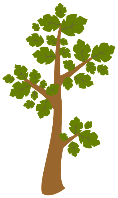 Free Tree Nature illustration and picture
