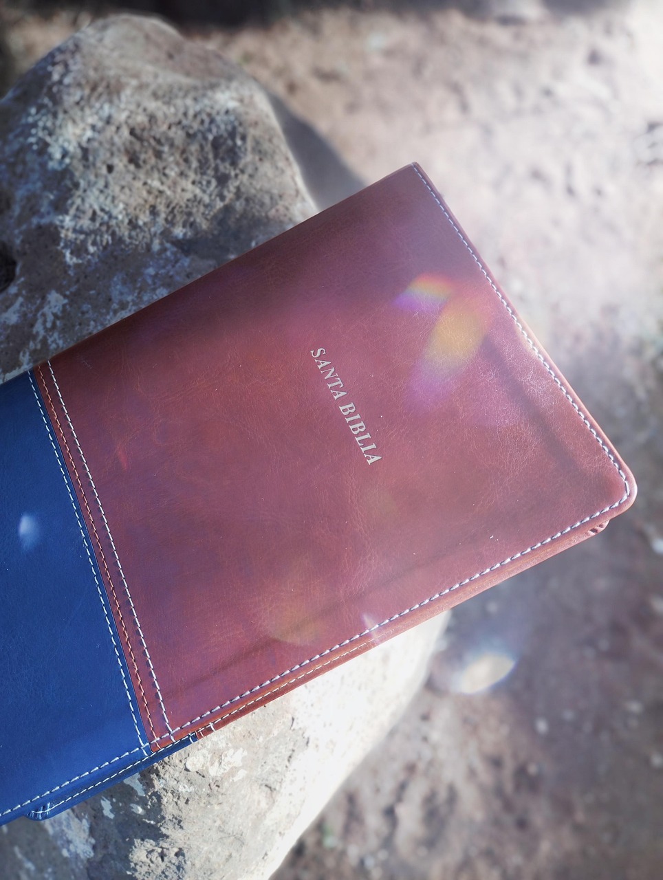 Christian Revelation Holy Bible Free Photo On Pixabay Pixabay Christian revelation holy bible free photo on pixabay pixabay