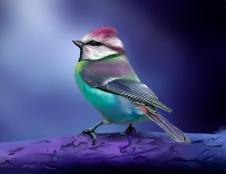 Pássaro, Fauna, Animal, Arte