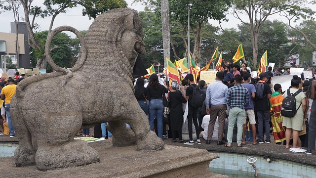 Sri Lanka, Beschützt, Geh Nach Hause
