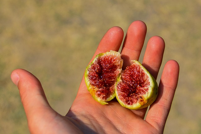 Free Fig Figs photo and picture
