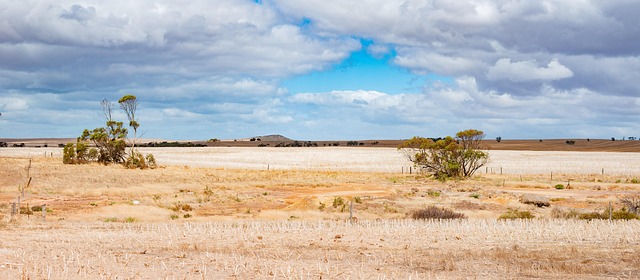 Australia, Paisaje, Península De Eyre