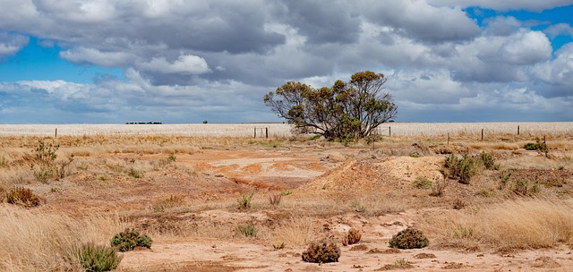 Australia, Paisaje, Vista, Naturaleza