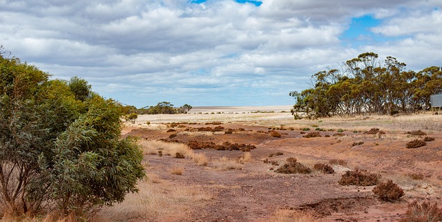 Australia, Paisaje, Nubes, Cauce