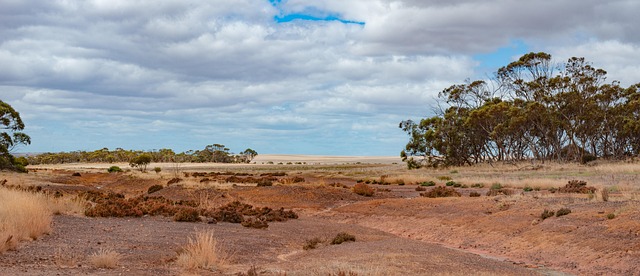 Australia, Paisaje, Vista, Sequía, Nubes