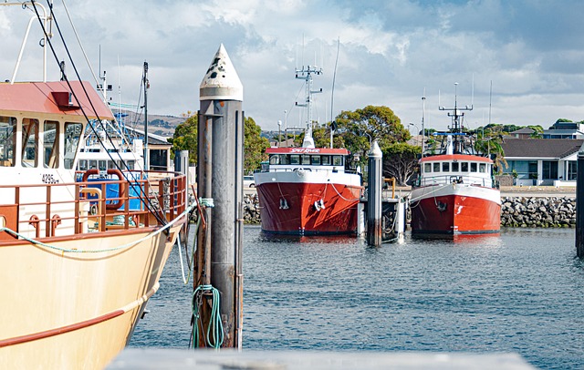 Australia, Puerto Lincoln, Puerto