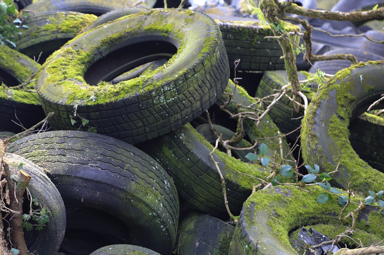 Car Tire Moss Garbage Free photo on Pixabay Pixabay