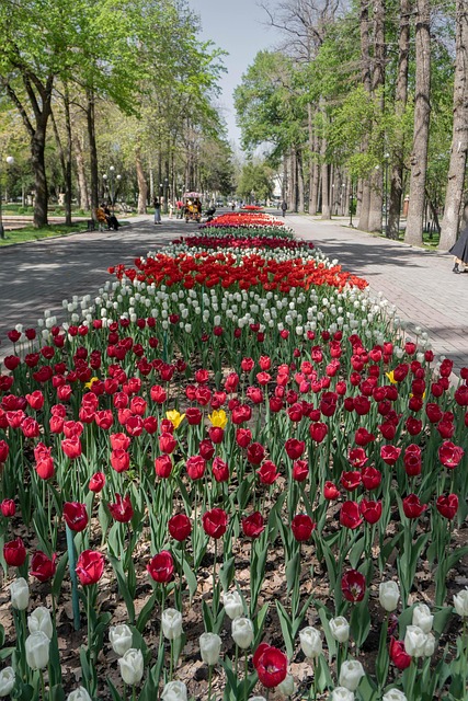 Bishkek, Kirgisistan, Skønhed, Forår