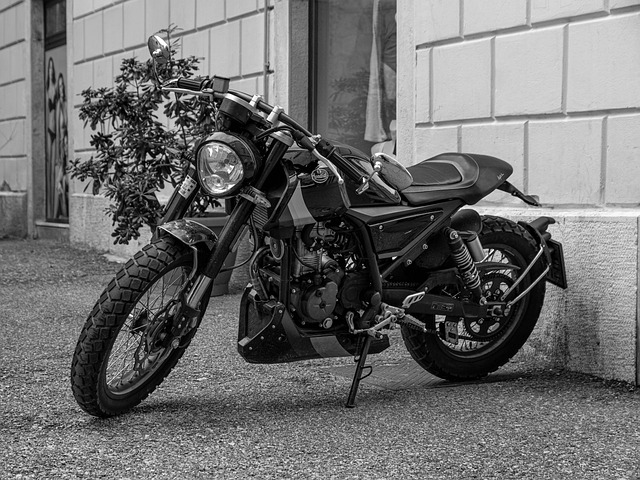 Free Motor Motorbike photo and picture