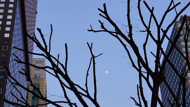 Cidade, Céu, Céu Noturno, Lua, Paisagem